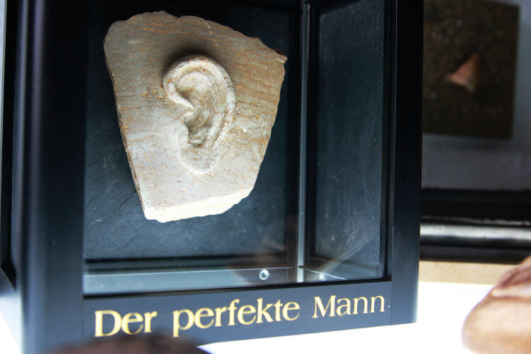 der-perfekte-mann
