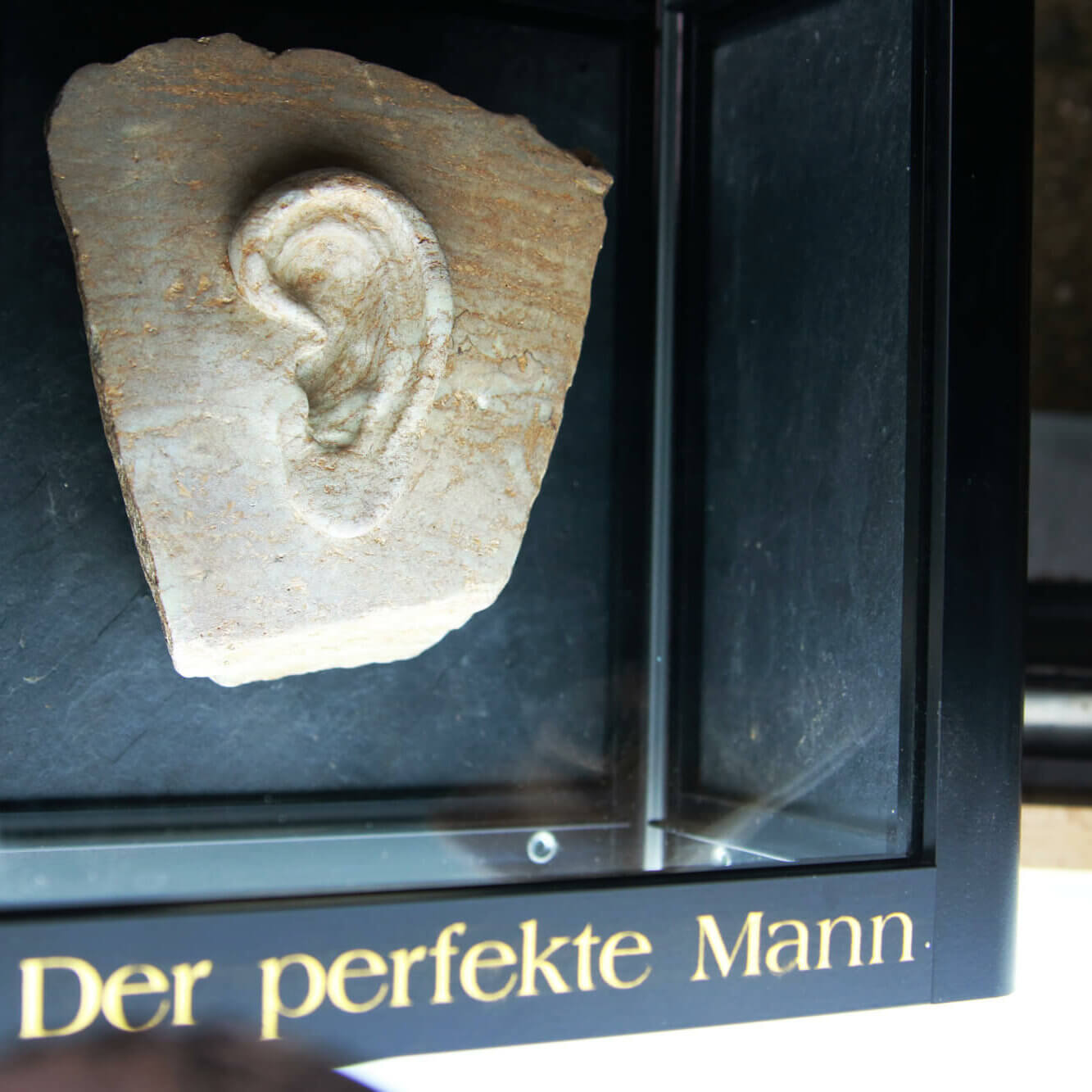 der-perfekte-mann der-perfekte-mann
